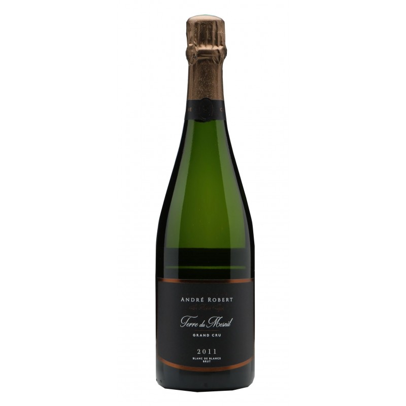 Champagne André Robert Terre du Mesnil 2011